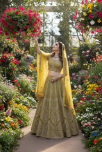Load image into Gallery viewer, LEHENGA - PL1002