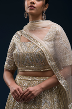 Load image into Gallery viewer, SEQUINS EMBROIDERED NET RECEPTION LEHENGA
