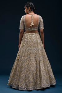 SEQUINS EMBROIDERED NET RECEPTION LEHENGA